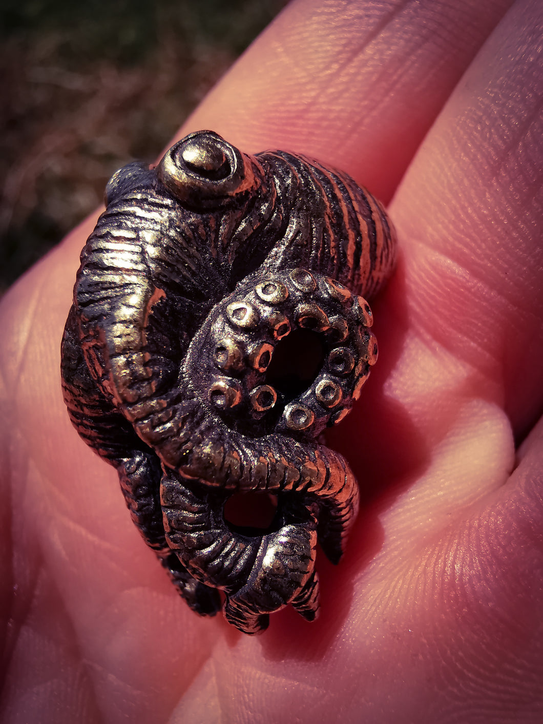octopus