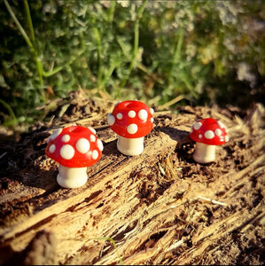 Glass mushroom